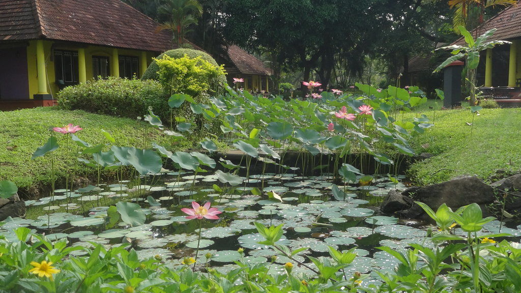 Taj Kumarakom Resort And Spa Kerala Ngoại thất bức ảnh